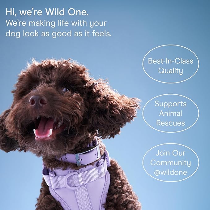 Wild One Organic Natural Crunchy Baked Dog Treats Made in The USA Treat Kit 4 Pack - 2 Fruit Salad + 2 PBJ