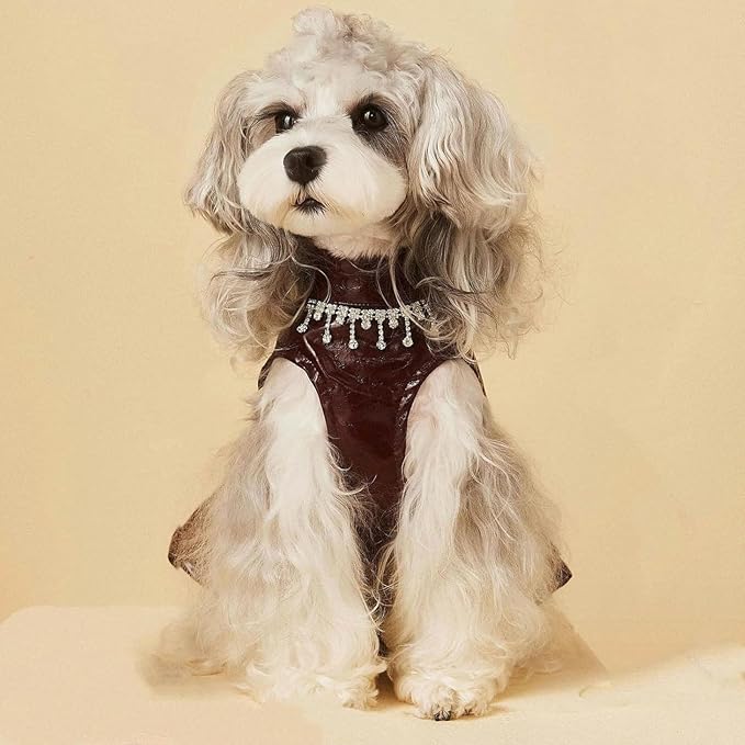 Luxury Dog Dress Girl Puppy Pu Leather Motorcycle Jacket Princess Tutu Skirt with Necklace for Small Pet Birthday Wedding Costume