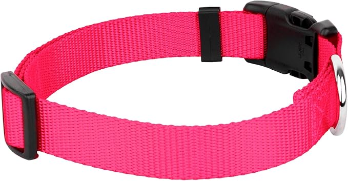 Country Brook Petz - American-Made Dog Collar for Large, Medium, and Small Dogs and Puppies - Deluxe Heavy Duty Nylon in 33 Dazzling Colors (Extra Large, 1 Inch Wide, Hot Pink)