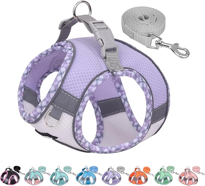 AIITLE Teacup Puppy Harness with Leash - Adjustable Soft Vest with Magic Velcro & Reflective Safety Strips, Easy-Put-On for Poodles, Pomeranians - Gym, Hiking, Travel (Purple-White, S)