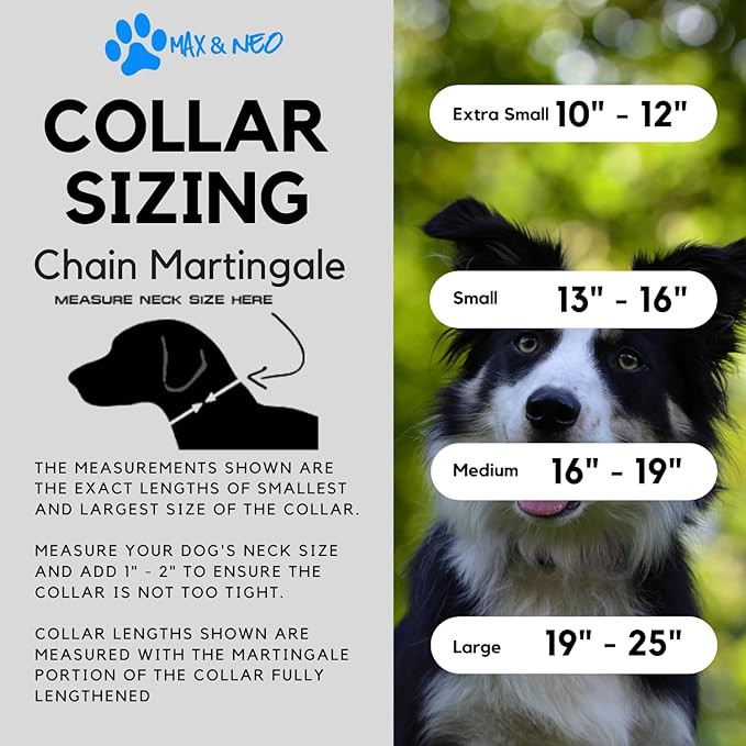 Max and Neo Stainless Steel Chain Martingale Collar - We Donate a Collar to a Dog Rescue for Every Collar Sold (X-Small, Teal)