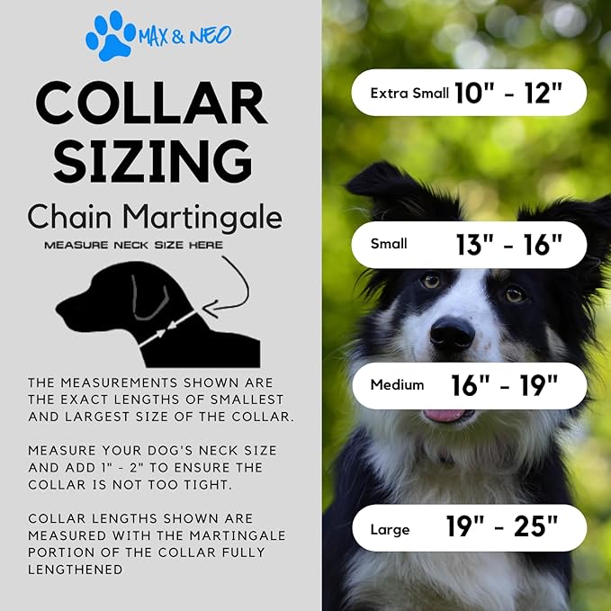 Max and Neo Stainless Steel Chain Martingale Collar - We Donate a Collar to a Dog Rescue for Every Collar Sold (Large, Teal)