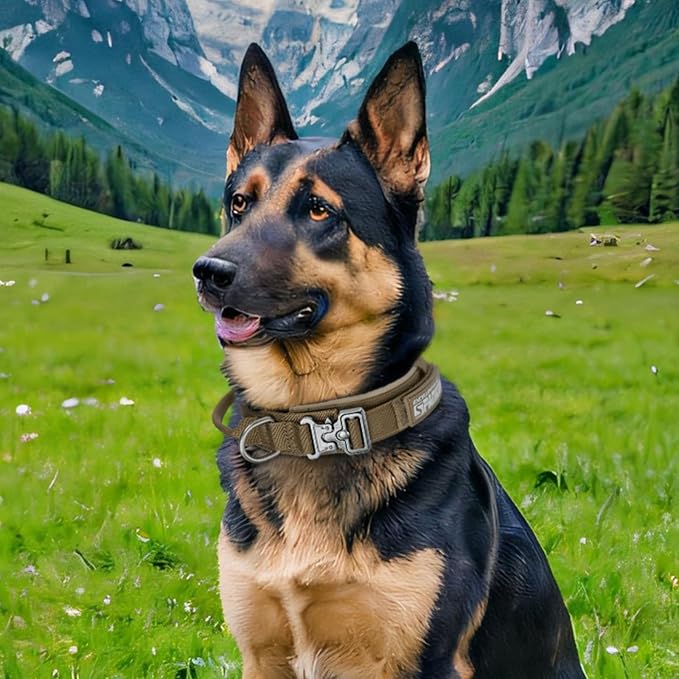EXCELLENT ELITE SPANKER Tactical Dog Collar Nylon Adjustable Training Collar Military Dog Collar Heavy Duty Metal Buckle with Control Handle for Medium and Large Dogs with Patches(COB-M)