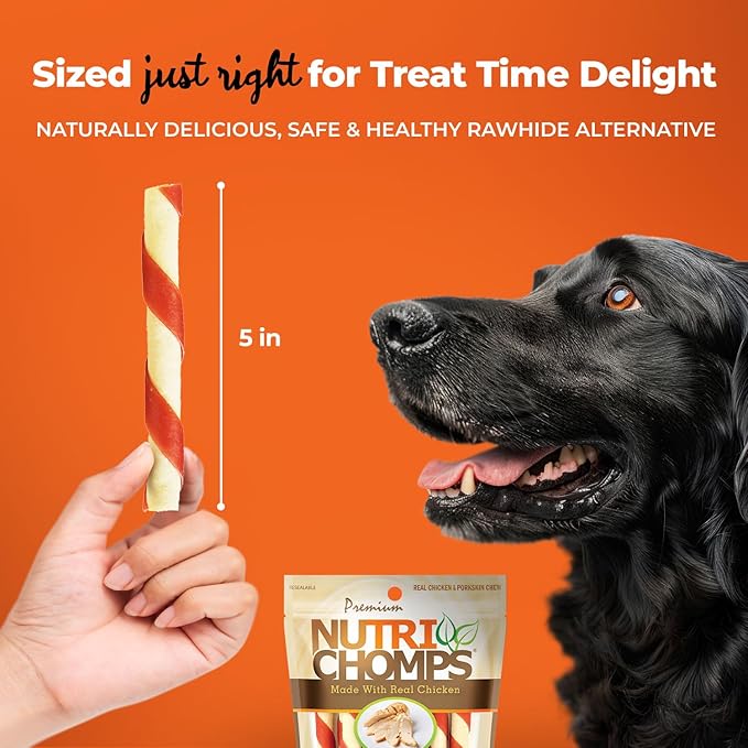 NutriChomps Dog Chews – 5-inch Twists, Easy to Digest, Rawhide-Free Dog Treats, Healthy, 10 Count, Real Chicken Flavor, Bundle of 2 (NT062V-2)