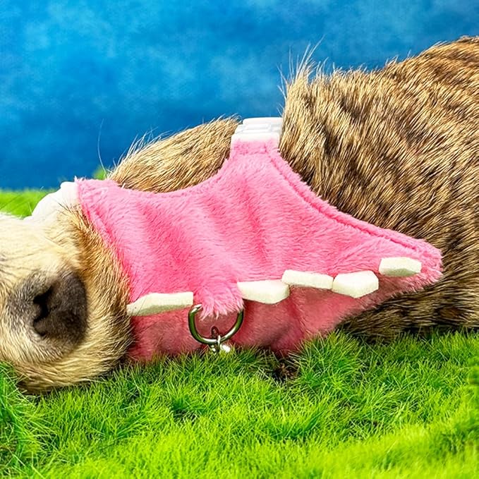 Ferret Harness and Leash Set Small Animals Vest Harness with Safe Bell Dinosaur Shaped Walking Clothes for Baby Rabbit Guinea Pig Teacup Chihuahua Mouse and Other Small pet. (Pink Dinosaur)