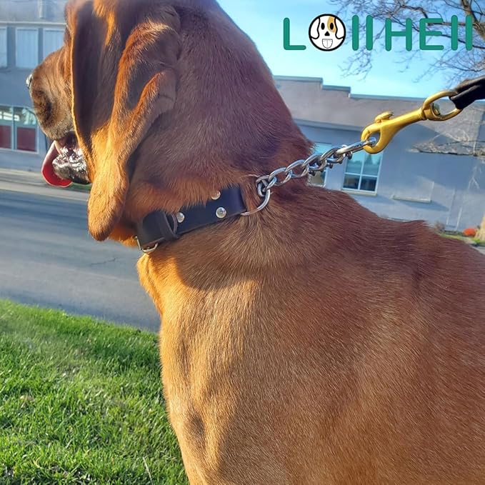 Martingale Collar for Dogs No-Pull Adjustable Training Collar with Stainless Steel Chain - Genuine Leather Anti-Slip Design for Small,Medium,Large Breed Dogs - Brown (L)