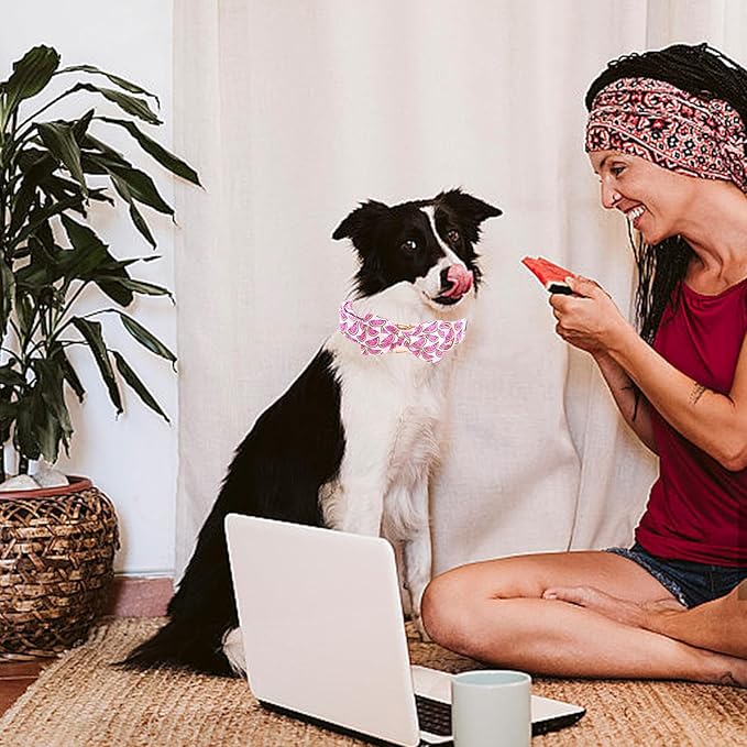 Elegant little tail Dog Collar, Watermelon Print Pet Collar Summer Dog Collar Durable Metal Buckle Dog Collars Cotton Pet Adjustable Dog Collars for Medium Dogs