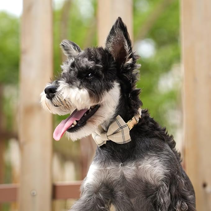 Beirui Cute Small Dog Harness Collar and Leash Set with Bowtie, Soft Adjustable Plaid Puppy Harness for Small Sized Dogs Cats Walks Parties and Photoshoots(Beige,XXS:Chest 12-14")