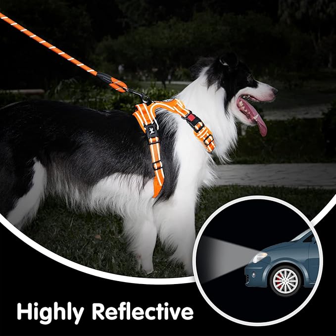 PoyPet No Pull Dog Harness and 5 Feet Leash Set, Release on Neck Reflective Adjustable Pet Vest, Front & Back 2 D-Ring and Soft Padded Pet Harness with Handle for Small to Large Dogs(Orange,L)
