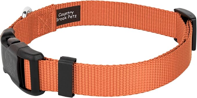 Country Brook Petz - American-Made Dog Collar for Large, Medium, and Small Dogs and Puppies - Deluxe Heavy Duty Nylon in 33 Dazzling Colors (Small, 3/4 Inch Wide, Coral)
