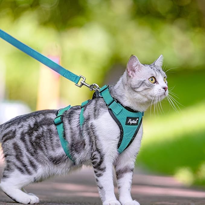PUPTECK Cat Harness and Leash Set Escape Proof for Walking, Breathable Mash Vest Adjustable Harness for Cats Puppy Small Animals, Reflective at Night, Green Medium