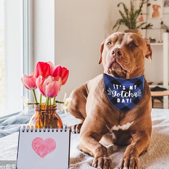 Dog Birthday Bandana Hat Bow Tie Set, 3 Pieces My Gotcha Day Plaid Triangle Bibs Scarf Bowtie Collar With Cone Hat for Party, Blue