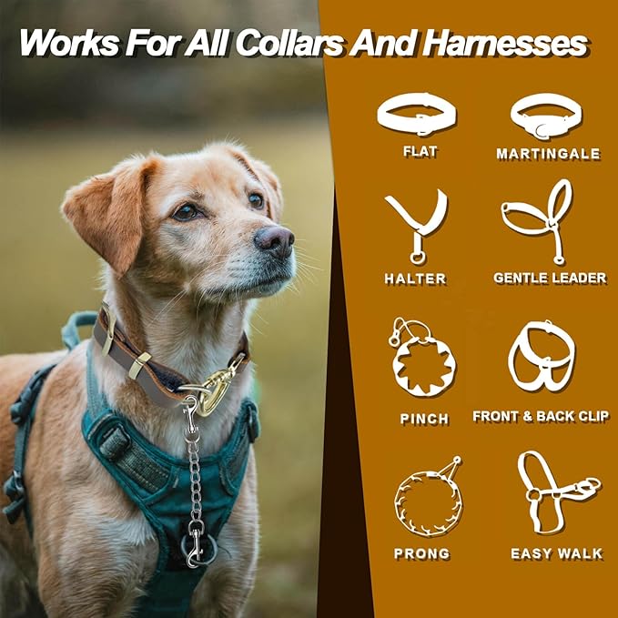 Dog Collar Backup Strap,Harness to Collar Safety Clip, Metal Stainless Steel Chain Leash Safety Strap, Escape Proof Safety Attachment for Dog, safeties, Backup, Connector. (10 Inches)