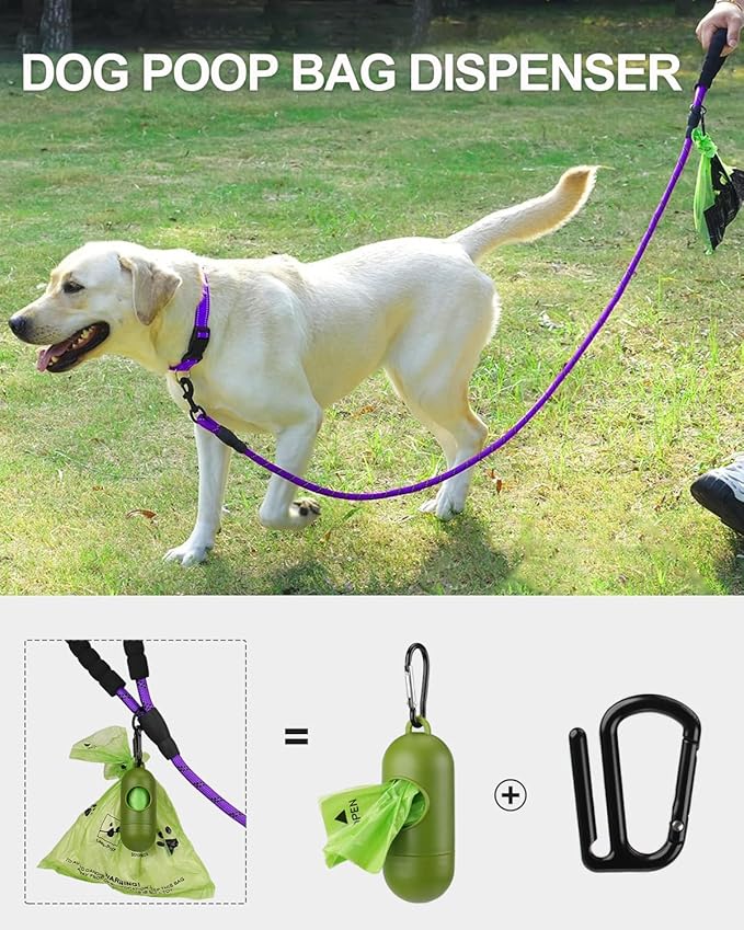Joytale Reflective Dog Leash, Heavy Duty Nylon Rope with Poop Bag Holder, Highly Reflective Threads Leashes for Medium Large Dogs, Purple, 5'×1/2''