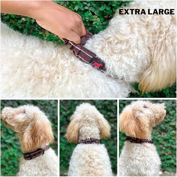 Heavy Duty Dog Collar with Handle | Ballistic Nylon Heavy Duty Collar | Padded Reflective Dog Collar with Adjustable Stainless Steel Hardware | Convenient Sizing for All Breeds X-Large (19-23" Neck)