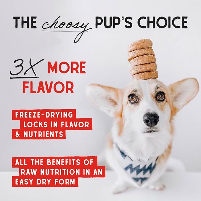Stella & Chewy's Freeze-Dried Raw Dinner Patties - Absolutely Rabbit Recipe - High Protein Grain-Free Puppy & Dog Food - Perfect For Picky Eaters - 5.5 oz