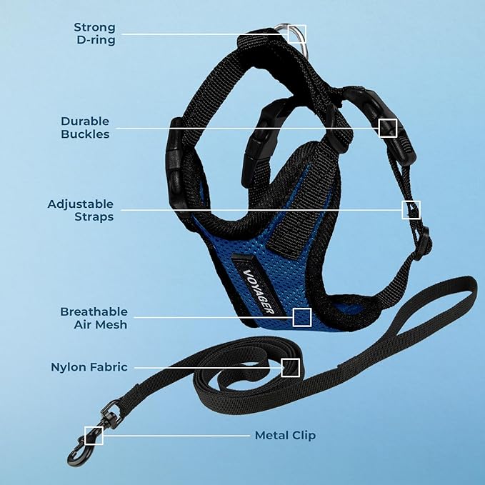 Voyager Step-in Lock Adjustable Cat Harness w. Cat Leash Combo Set with Neoprene Handle 5ft - Supports Small, Medium and Large Breed Cats by Best Pet Supplies - Royal Blue/Black Trim, XXS
