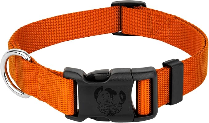 Country Brook Petz - American-Made Dog Collar for Large, Medium, and Small Dogs and Puppies - Deluxe Heavy Duty Nylon in 33 Dazzling Colors (Extra Large, 1 Inch Wide, Orange)