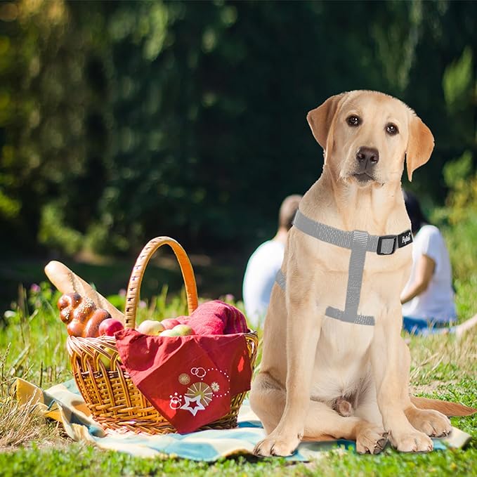 PUPTECK No Pull Dog Harness Soft Adjustable Basic Nylon Step in Puppy Vest Outdoor Walking with ID Tag, Grey, L