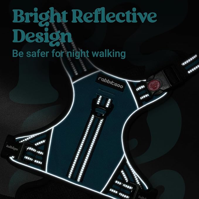 rabbitgoo Dog Harness for Large Dogs, No Pull Pet Harness with Soft Padded Handle, Adjustable Reflective Vest with 3 Buckles, Easy Walking Harness with 2 Leash Clips, Green, M