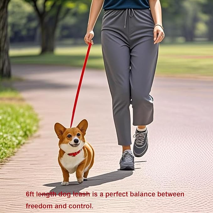 6 FT Puppy Leashes, Strong Traditional Style Leash with Easy to Use Collar Hook,Dog Lead Great for Small and Medium and Large Dog (Red, 5/8 in x 6 ft)