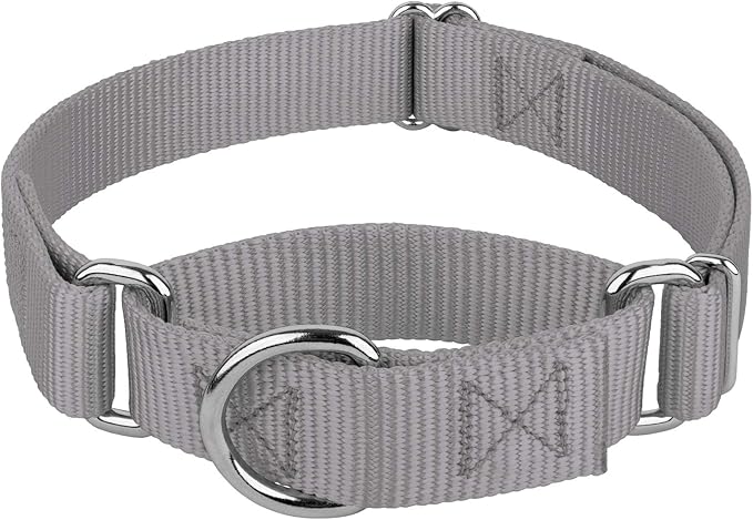 Country Brook Petz Martingale Dog Collar - Heavy-Duty Training Collar with No Buckle - Service Dog Collar for All Pups - Vibrant, Colorful Collection (Silver, 3/4 Inch, Small)