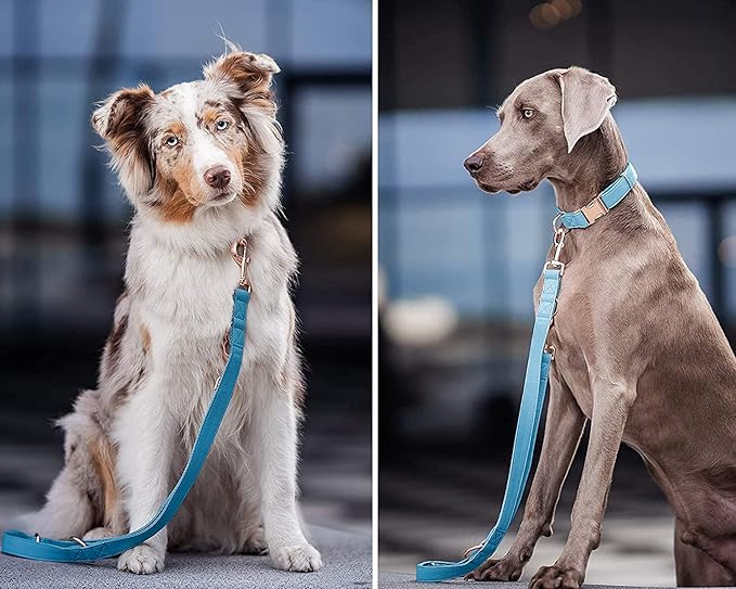 Soft Leather Dog Collar and Leash (6.6') Set - Stylish Rose Gold Heavy Duty Metal Buckle, 4 Adjustable Lengths Leash for Small Medium Large Dogs - Comfortable & Easy to Clean Light Blue L(15.4"-24.8")