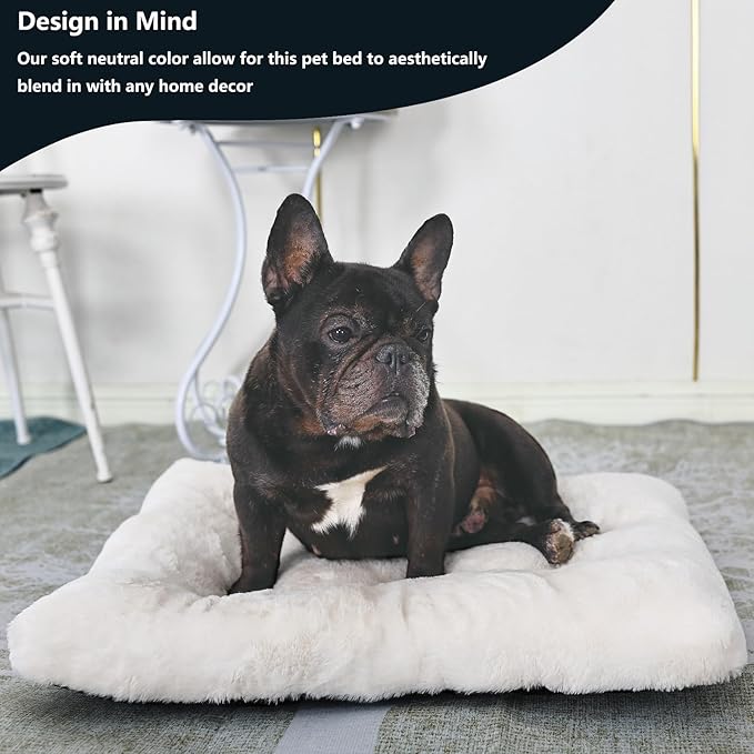 Small Washable Dog Bed Deluxe Plush Crate Beds with Zipper fit Small Breed Pets,24 inch Dog Kennel Pads with Anti-Slip Bottom Pet Sleeping Mat,Ideal for Crates Machine Wash,24 x 18 Cream