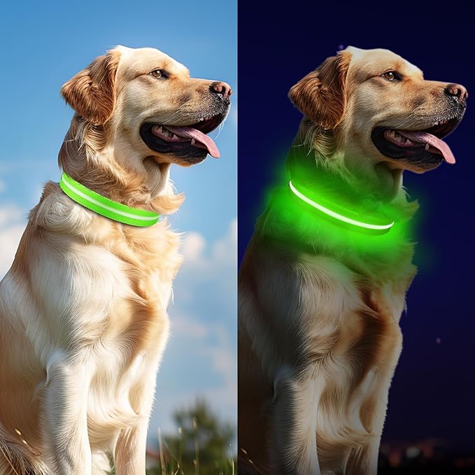 Led Dog Collar for Night Walking,Rechargeable Light Up Dog Collar Led Color,Glow in The Dark Dog Collars Waterproof for Small Medium Large Dogs (Green, Medium)