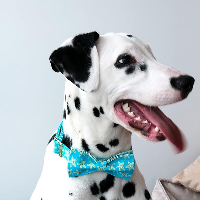 Lionet Paws Summer Dog Collar with Bowtie, Soft Comfortable Adjustable Cute Starfish Bowtie Collar for X-Large Dogs Male Female Gift, Neck 16-26 inches