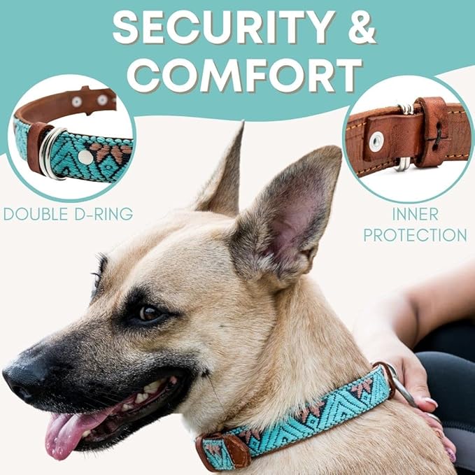 Western Dog Collar – Leather Dog Collar Embroidered Design for Small Medium Large Dogs & Puppy Pets - Aztec & Southwest for Boy and Girl Female & Male Dogs - Collar Para Perros (Small, Teal)