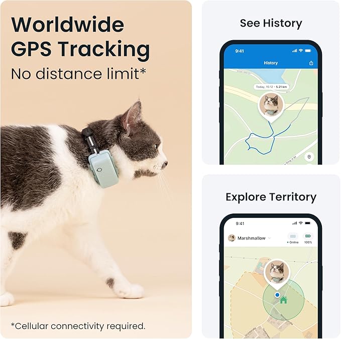 Tractive GPS Cat Tracker (6.5 lbs+), Real-time Pet Location Tracker, Health & Wellness Alerts, Battery Life Up to 7 Days, Breakaway Cat Collar Included (Mint)