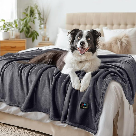 Waterproof Pet Blanket, Liquid Pee Proof Dog Blanket for Sofa Bed Couch, Reversible Sherpa Fleece Furniture Protector Cover for Small Medium Large Dogs Cats, Dark Gray X-Large(85" x 57")