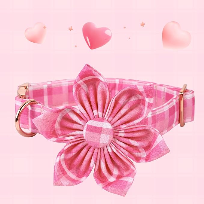 Lionheart Glory Pink Floral Pattern Adjustable Collar for Medium Dogs