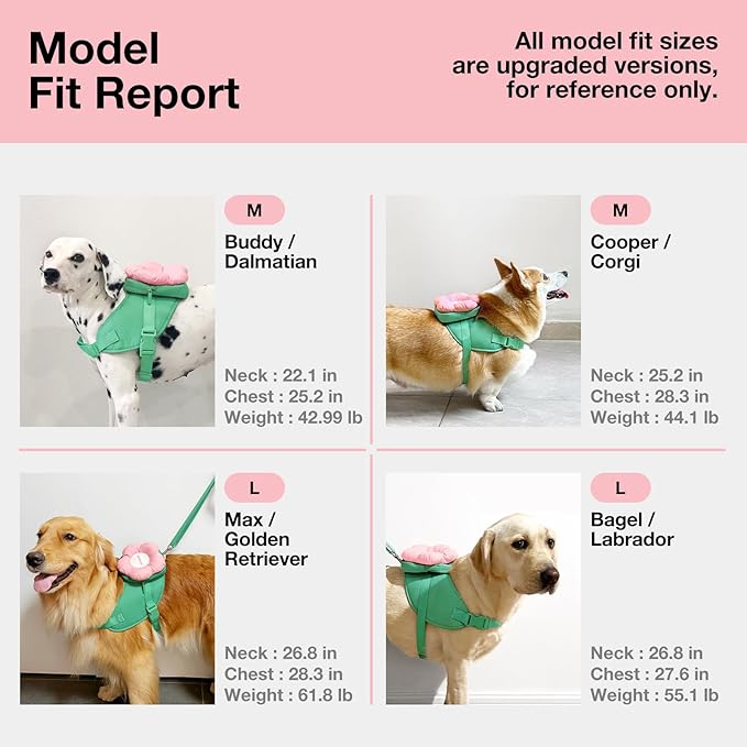 VETRESKA Flora Dog Harness, Leash and Collar Set, No Pull Dog Vest Harness for Walking and Training, Adjustable, Easy Control and Soft Padded Pet Harness and Backpack for Small Medium Large Dogs, M