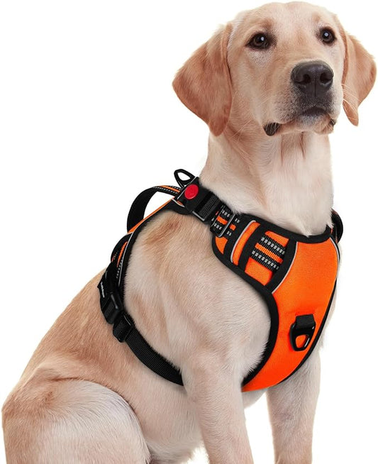 rabbitgoo Dog Harness for Large Dogs, No Pull Pet Harness with Soft Padded Handle, Adjustable Reflective Vest with 3 Buckles, Easy Walking Harness with 2 Leash Clips, Orange, M