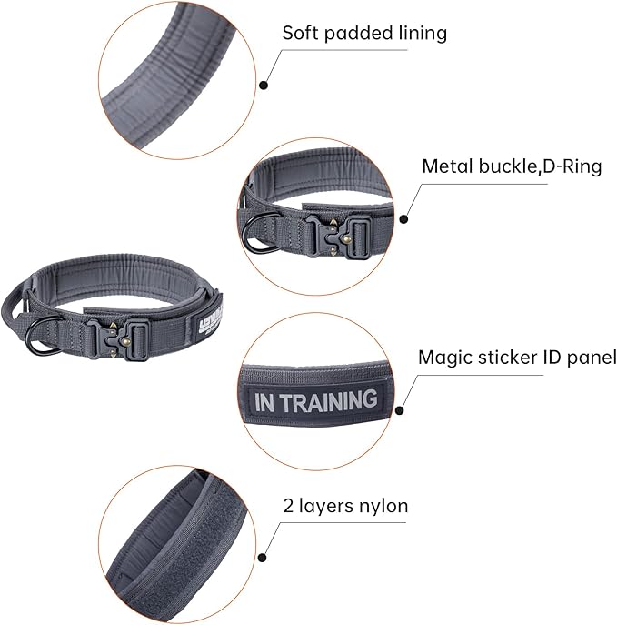EXCELLENT ELITE SPANKER Tactical Dog Collar Nylon Adjustable Training Collar Military Dog Collar Heavy Duty Metal Buckle with Control Handle for Medium and Large Dogs with Patches (Grey-L)