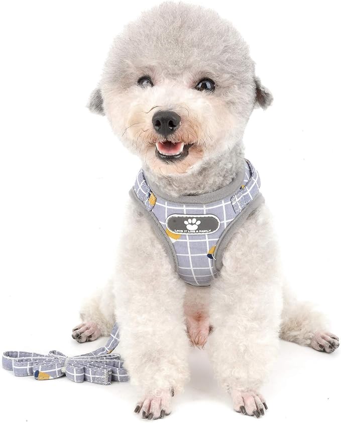 Zunea No Pull Small Dog Harness and Leash Set Adjustable Reflective Step-in Chihuahua Vest Harnesses Mesh Padded Plaid Escape Proof Walking Puppy Jacket for Boy Girl Pet Dogs Cats Gray M