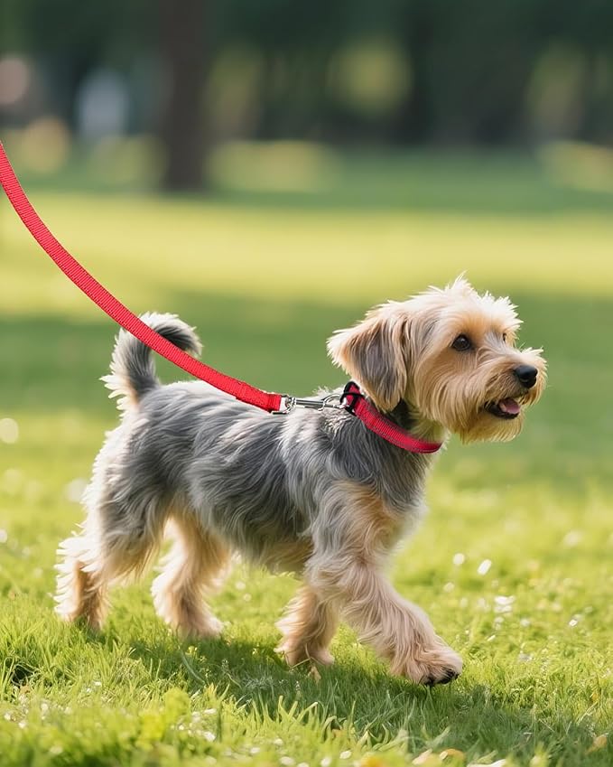 Joytale Small Dog Collar, Reflective and Adjustable Nylon Collar with Quick-Release Buckle, Lightweight No-Choke Design for Small Dogs, Red, 3/4" Width