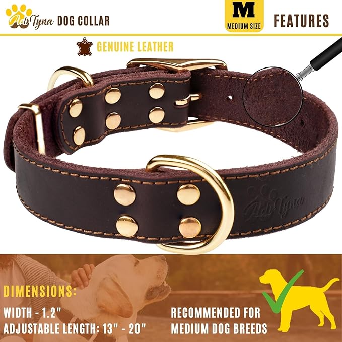 ADITYNA Heavy Duty Leather Dog Collar for Medium Dogs - Soft and Strong Collar for Walking, and Training (Medium: Fit 13" - 20" Neck, Brown - Gold Colored Buckle)