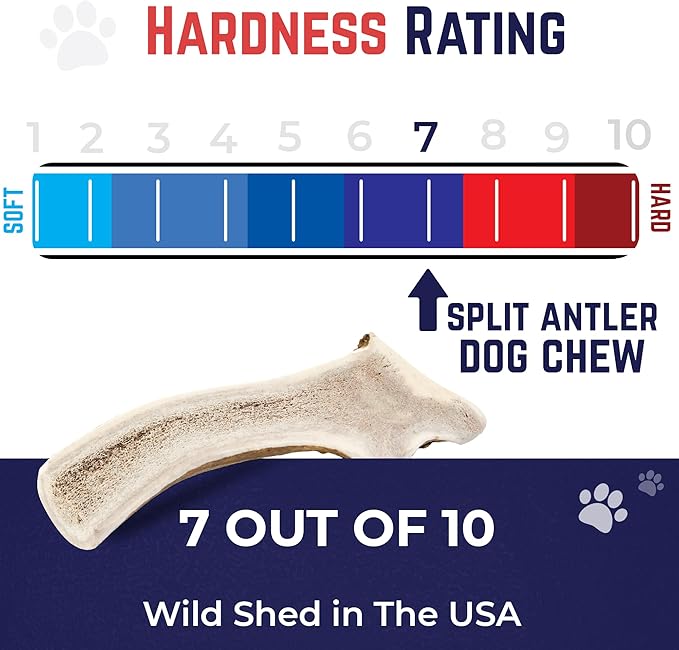 Devil Dog Pet Co. Split Elk Antlers for Dogs, Extra Large 7"+, 1 Pack, Grade A Long Lasting Chew for Aggressive Chewers, Premium USA Naturally Shed Antler – Healthy, No Odor, Durable Dog Chew