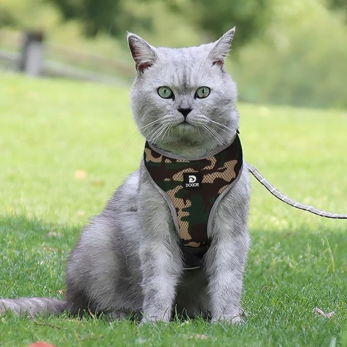 Puppy Harness and Leash Set - Dog Vest Harness for Small Dogs Medium Dogs- Adjustable Reflective Step in Harness for Dogs - Soft Mesh Comfort Fit No Pull No Choke (Medium, Camouflage Green)