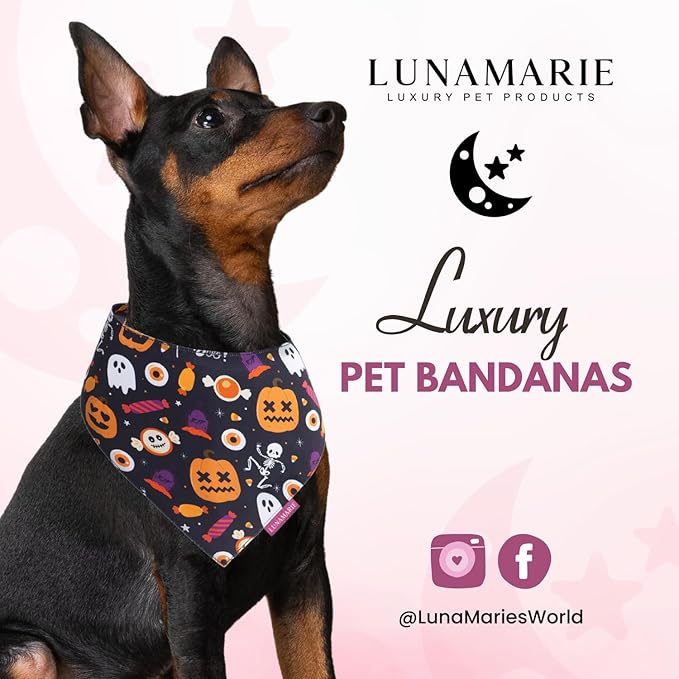 Luxury Cat and Dog Bandanas - Halloween Designs | Premium Silky Poly Fabric | 100% Handmade Custom Shape Dual Layered Small, Medium, Large Cat Scarf (Trick-Or-Treat, Large)