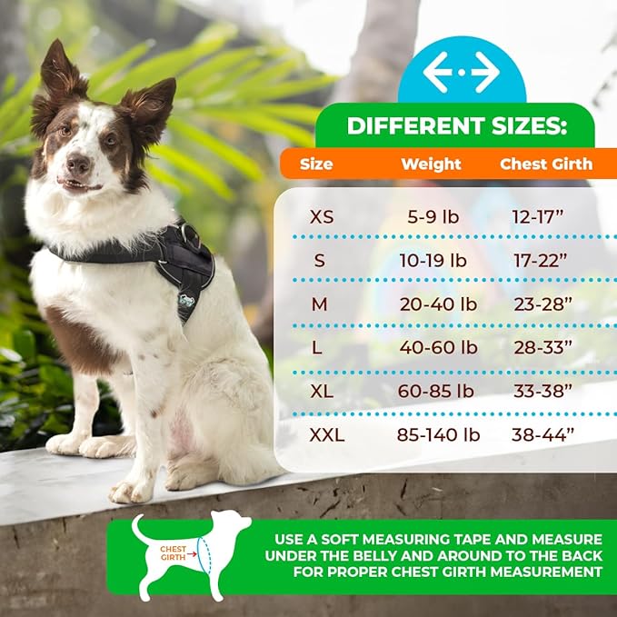 Joyride Harness LED Light Up Dog Harness 2.0 - Patent Pending Design, 3 LED Modes, Vibrant Rechargeable Lighting, Customizable Name Tag Area, and Convenient On/Off Button for Enhanced Pet Safety