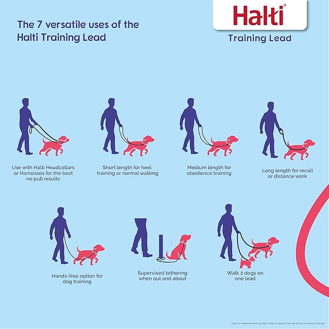 HALTI Training Leash - Multifunctional Double-Ended Dog Leash, Ideal for Anti-Pulling Dog Training. Lightweight & Durable. Suitable for Small to Medium Dogs & Puppies (Size Small, Desert Sand, 2m)