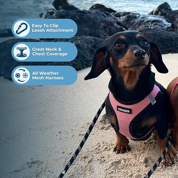 Voyager Step-in Air All Weather Mesh Harness and Reflective Dog 5 ft Leash Combo with Neoprene Handle, for Small, Medium and Large Breed Puppies by Best Pet Supplies - Pink Base,S