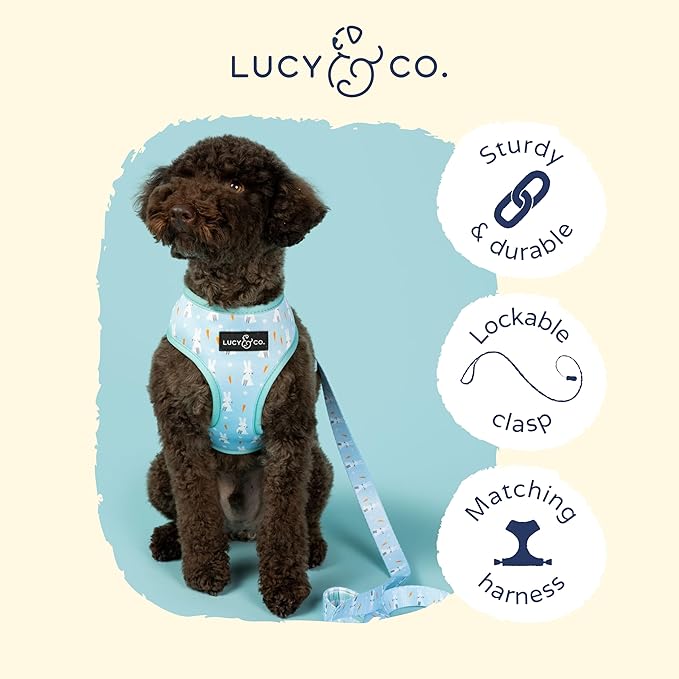 Lucy & Co. Funny Bunny- Designer Dog Leash for Small to Large Dogs - Padded Handle for Comfort - Large, Blue Green Bunnies Plaid - 5 Foot