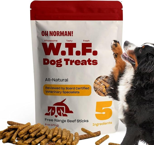 Soft Beef Jerky Dog Treats by Kaley Cuoco, Healthy Dog Treats, All Life Stages and Breeds, Air Dried, Ethically Sourced Free Range Beef,6 Oz