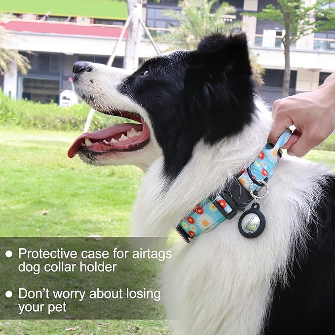 Hotsky Tactical Dog Collar, Adjustable Military Training Nylon Airtag Collar with Handle and Heavy Duty Metal Buckle for Medium Large Dogs, with Airtag Holder and Two Patches(Daisy,XL)