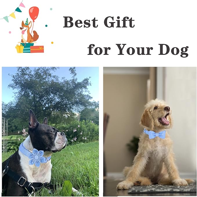 Unique style paws Dog Collar with Flower Tie Blue Dot Summer Dog Collar for Small Medium Large Dogs with Adjustable Metal Buckle -XL